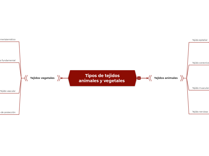 Tipos de tejidos animales y vegetales con ejemplos