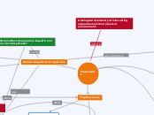 Ecosystems - Mind Map