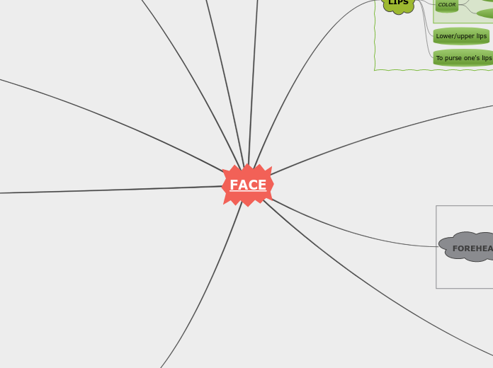 FACE - Mind Map
