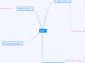 DSI - Carte Mentale