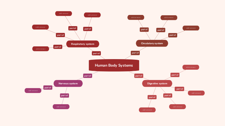 Human Body Systems