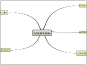 אורח חיים בריא - Mind Map