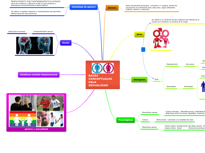 BASES CONCEPTUALES DELA       SEXUALIDA...- Mapa Mental