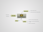Hooded Warbler - Mind Map