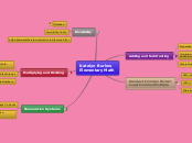 Katelyn Burlew
Elementary Math - Mind Map