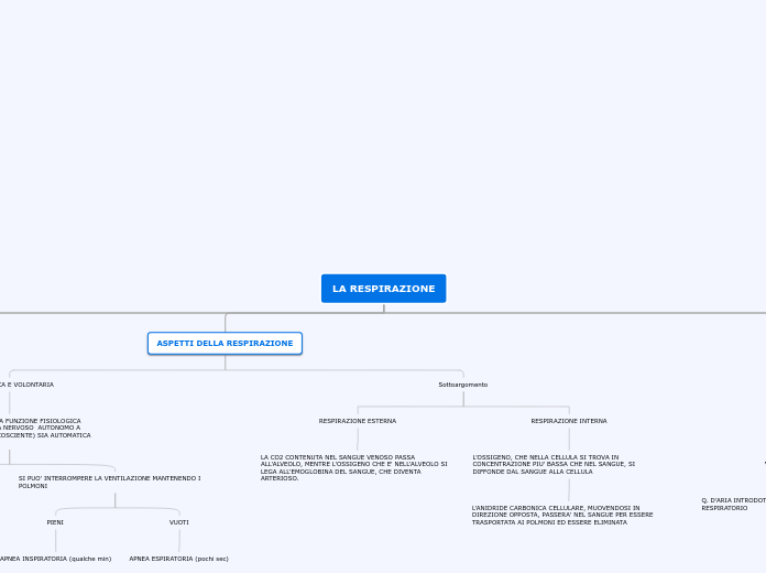 LA RESPIRAZIONE - Mappa Mentale