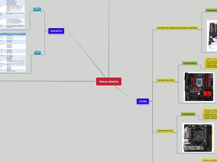 Placa Madre - Mapa Mental