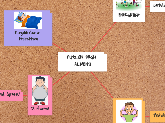 FUNZIONI DEGLI ALIMENTI
