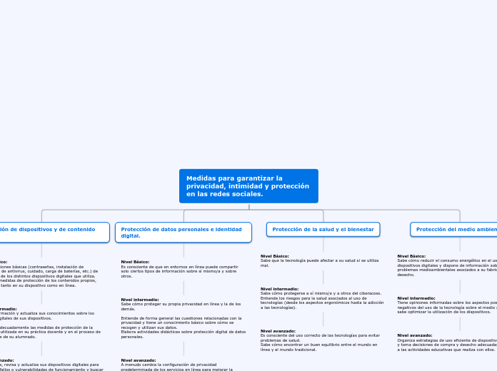 Medidas para garantizar la privacidad, ...- Mapa Mental