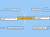 invloed sociale media - Mindmap