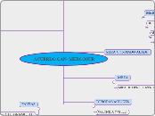 ACUERDO CAN- MERCOSUR - Mapa Mental