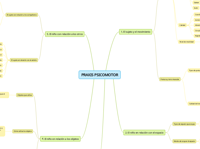 PRAXIS PSICOMOTOR - Mapa Mental