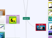 software - Mapa Mental