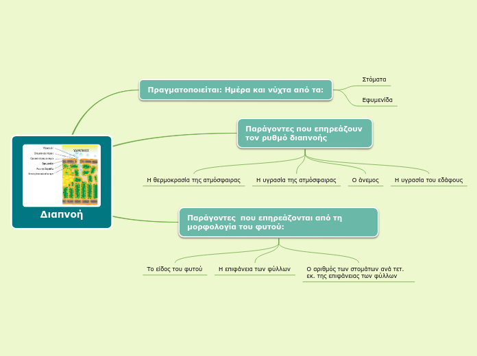Plant Functions