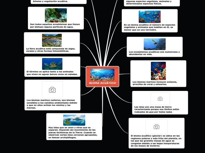 BIOMA ACUÁTICO - Mind Map