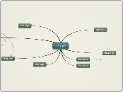 金科的思路 - Mind Map