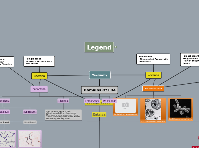 Taxonomy - Mind Map