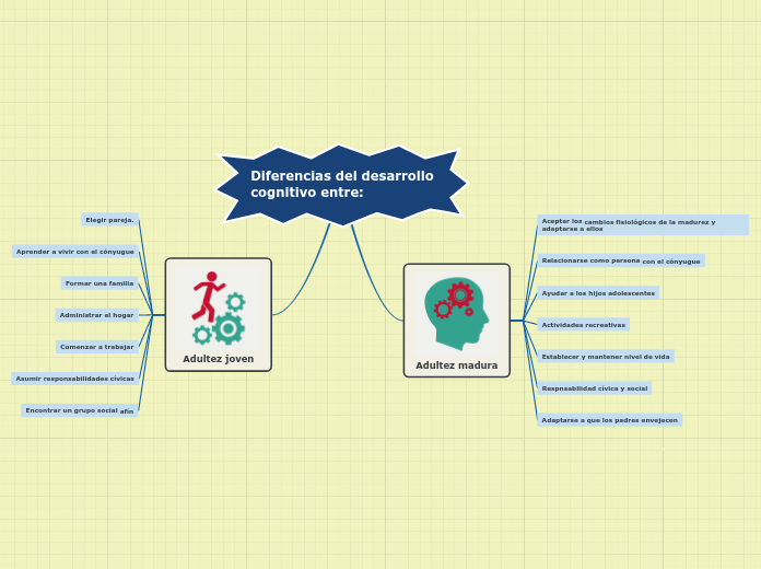 Diferencias del desarrollo cognitivo en...- Mapa Mental