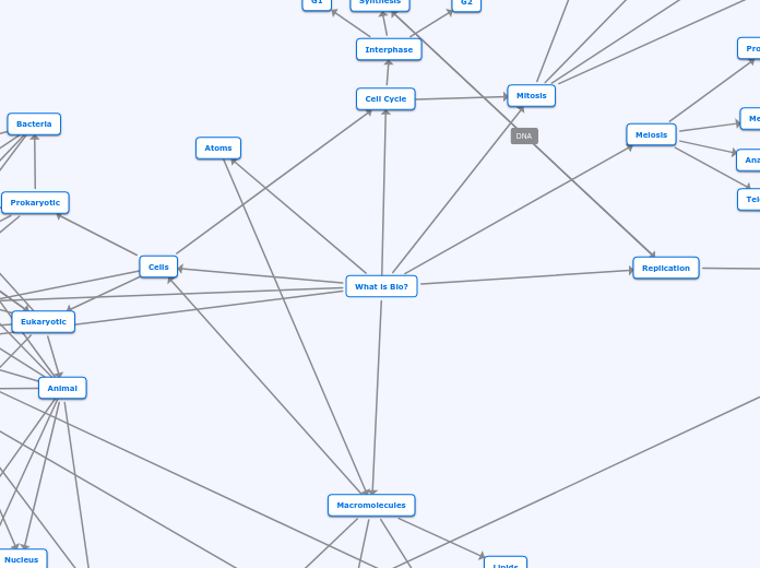 What is Bio? - Mind Map