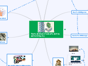 The World of Private Equity - Mind Map