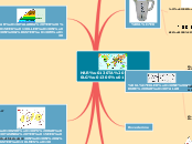 HARİTA BİLGİSİ - Mind Map