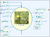 あさぎり草 - マインドマップ