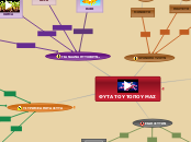 ΦΥΤΑ ΤΟΥ ΤΟΠΟΥ ΜΑΣ - Mind Map