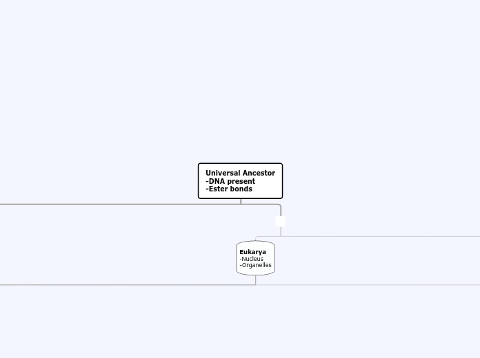 Universal Ancestor
-DNA present
-Ester bon...- Mind Map