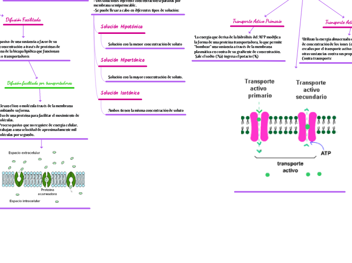 Compuestos y Soluciones Inorgánicas - Mapa Mental
