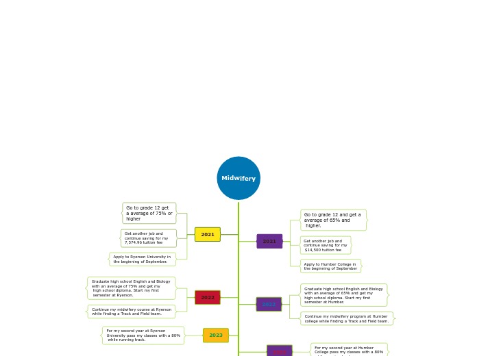 Midwifery - Mind Map