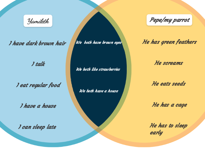 We both like strawberries - Mind Map
