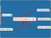 Information Policy Categories per H. Relye...- Mind Map