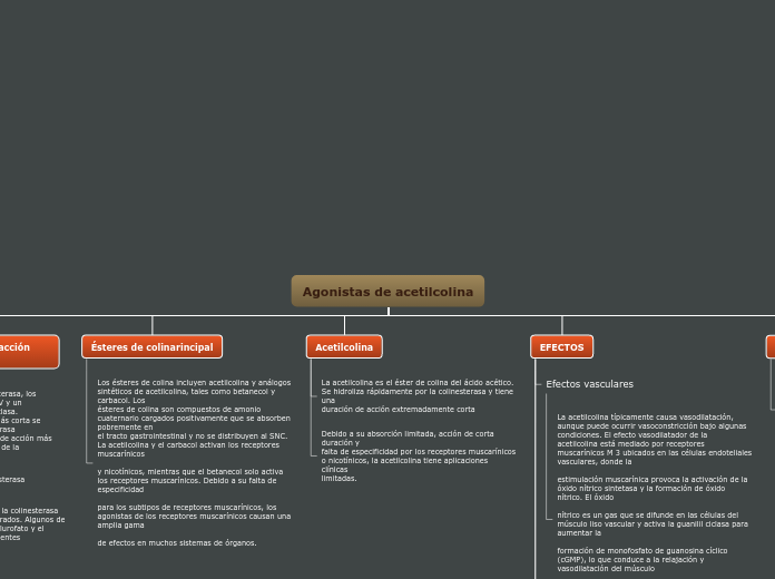 Agonistas de acetilcolina - Mapa Mental