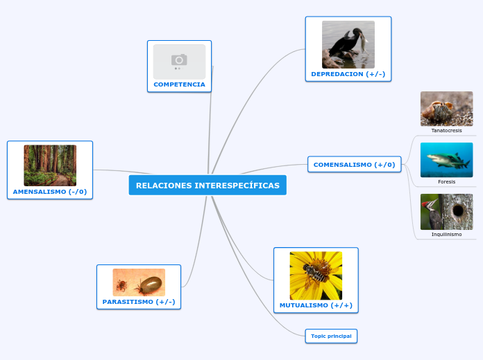 RELACIONES INTERESPECÍFICAS - Mind Map