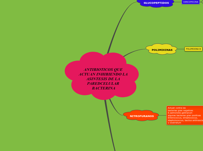ANTIBIOTICOS QUE ACTUAN INHIBIENDO LA A...- Mapa Mental