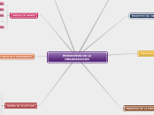 PRINCIPIOS DE LA ORGANIZACION - Mapa Mental