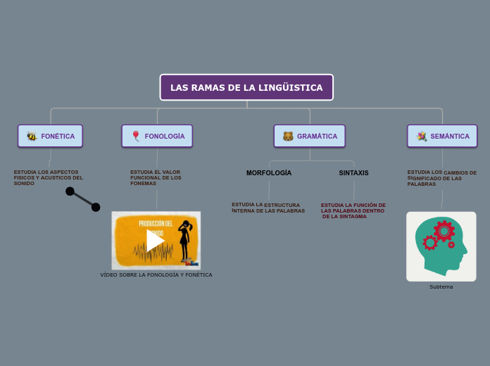 LAS RAMAS DE LA LINGÜISTICA - Mapa Mental