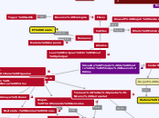 Silvestre Toledo de Ventre
Principe Bue...- Mapa Mental