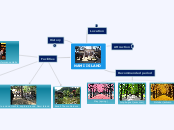 NAMI ISLAND - Mind Map