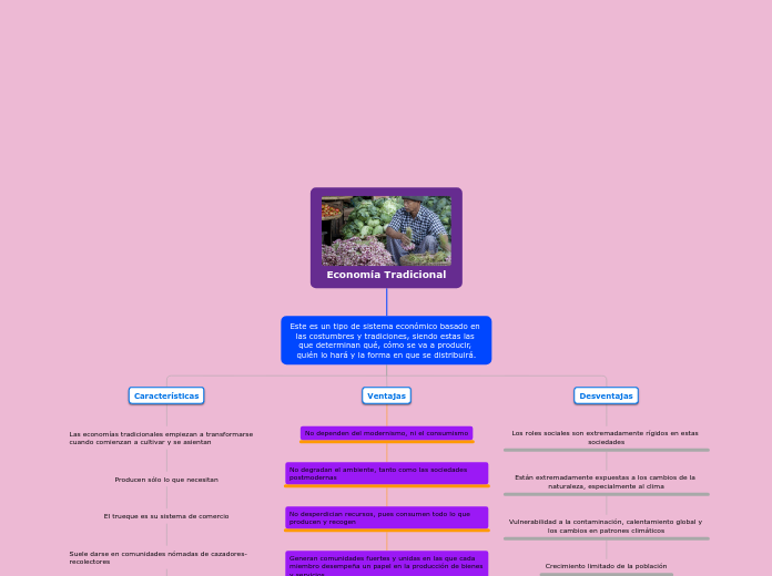 Economía Tradicional - Mapa Mental
