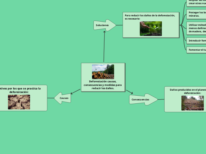 Deforestación causas, consecuencias y m...- Mapa Mental