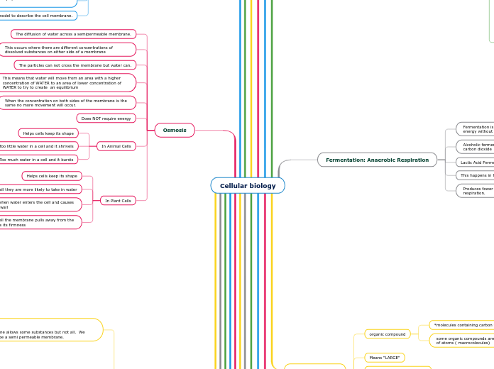 Cellular biology - Mind Map