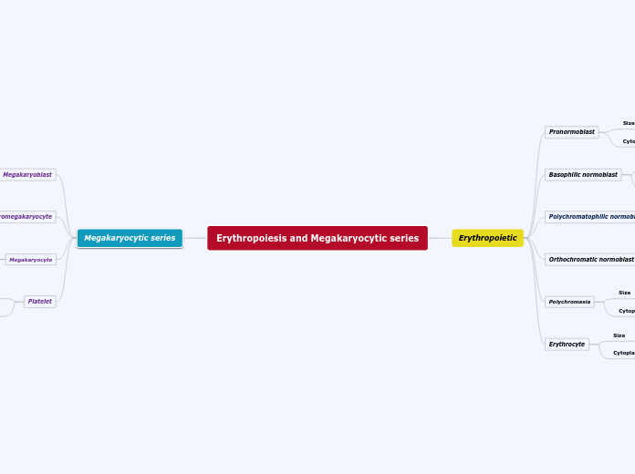 Erythropoiesis and Megakaryocytic series - Mind Map