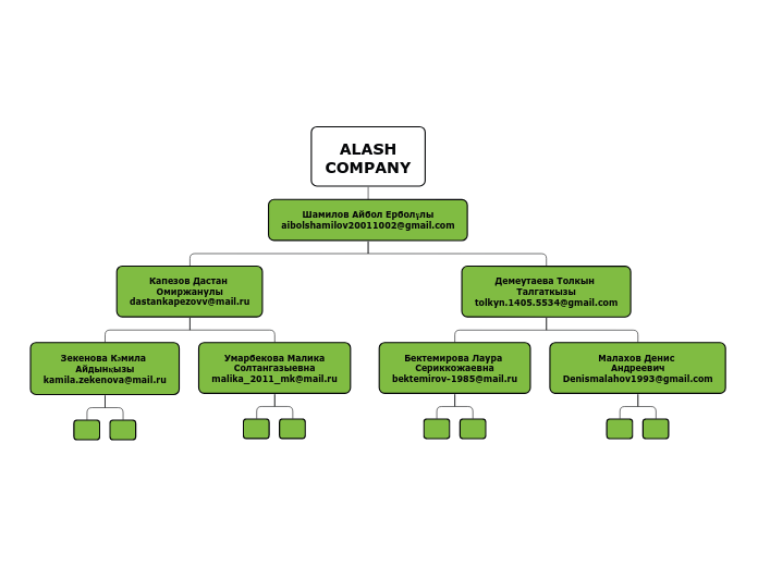 ALASH
COMPANY - Мыслительная карта