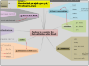 Factors to consider for Rehabilitation aft...- Mind Map