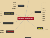 animales granja - Mapa Mental