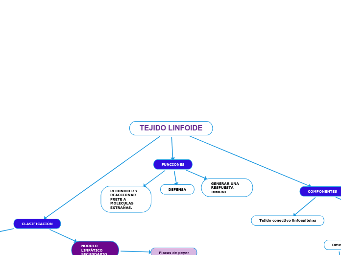TEJIDO LINFOIDE
