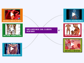 MECANISMOS DEL CUERPO HUMANO - Mapa Mental