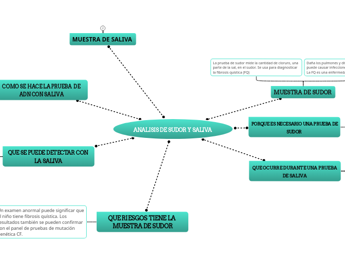 ANALISIS DE SUDOR Y SALIVA  - Mapa Mental
