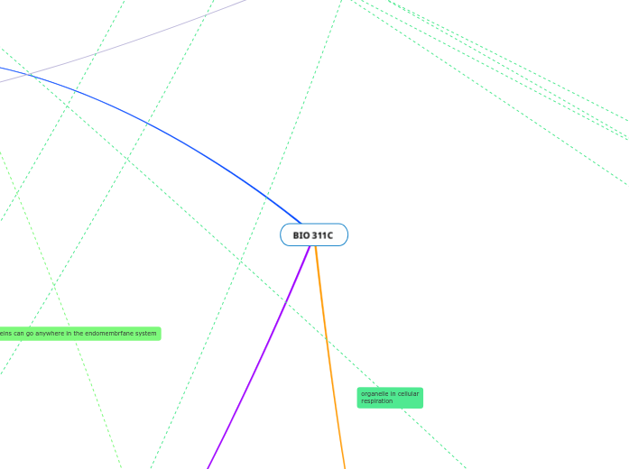 BIO 311C - Mind Map